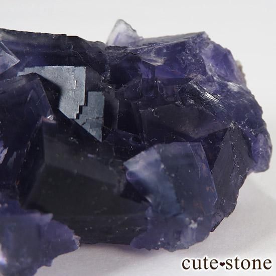   䥪󥷥 ե饤() 45gμ̿3 cute stone