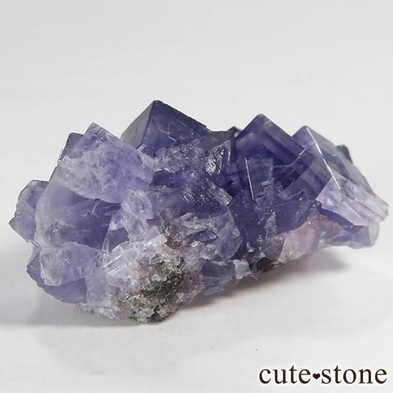  䥪󥷥 ե饤() 20gμ̿1 cute stone