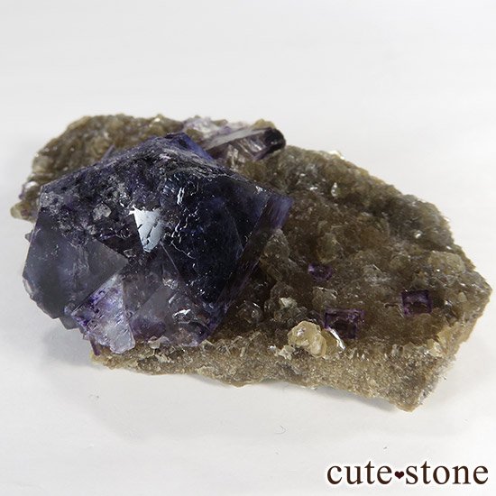  ʡʻ ե饤() 72gμ̿1 cute stone