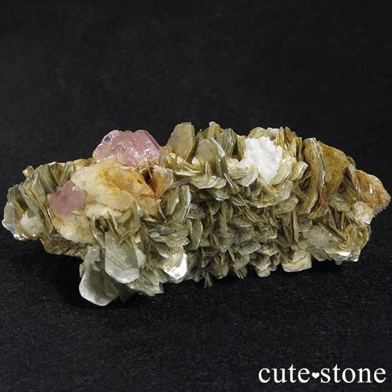 ԥ󥯥ѥȤθ(ʪɸ) ѥ󻺤μ̿1 cute stone