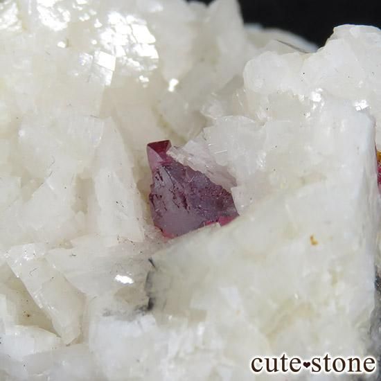 äʥ󥷥˥ʥСդ μ̿3 cute stone