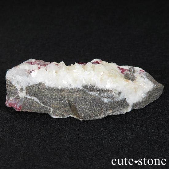 äʥ󥷥˥ʥСդ μ̿1 cute stone