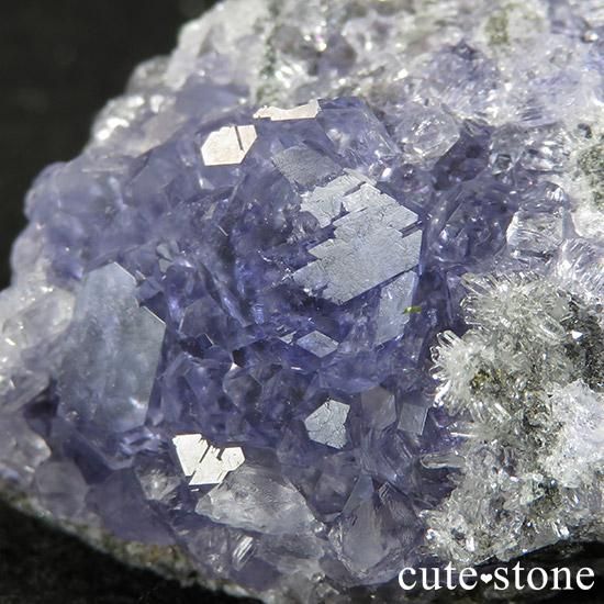  ʡʻѡץ֥롼ե饤Ȥθ 57gμ̿3 cute stone