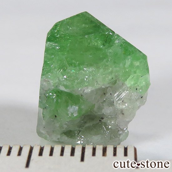 󥶥˥ ĥܥ饤Ȥη뾽ʸС 15ctμ̿5 cute stone