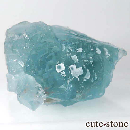 ֥롼꡼ե饤ȤθС ʻ89gμ̿0 cute stone