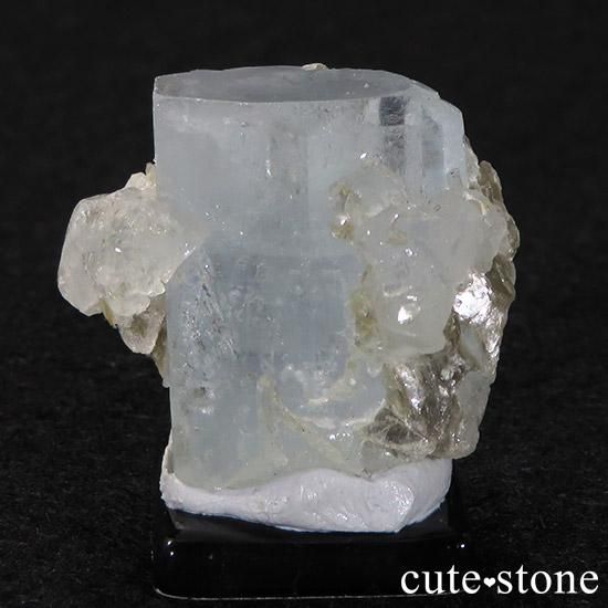 ѥ󻺥ޥ 뾽ʸС16.9gμ̿1 cute stone