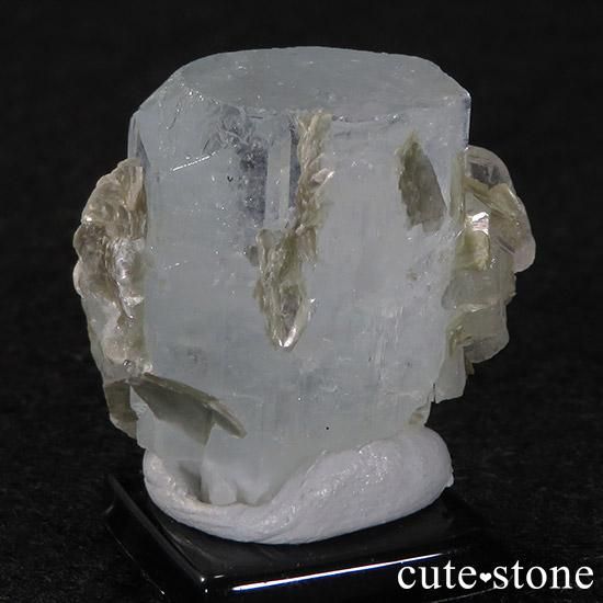 ѥ󻺥ޥ 뾽ʸС16.9gμ̿3 cute stone