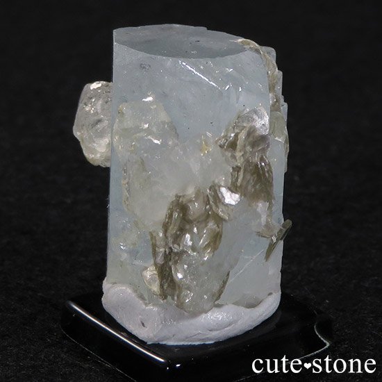 ѥ󻺥ޥ 뾽ʸС16.9gμ̿4 cute stone