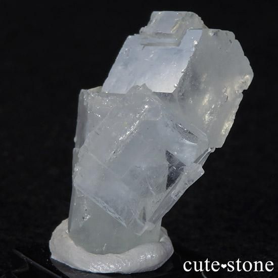 ѥ󻺥ޥ 뾽ʸС12.2gμ̿1 cute stone