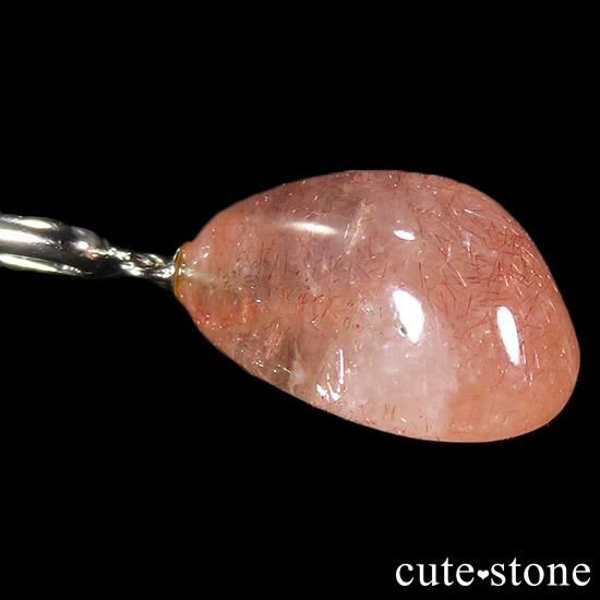 ե󻺥ȥ٥꡼ĤΥڥȥȥå Dμ̿1 cute stone