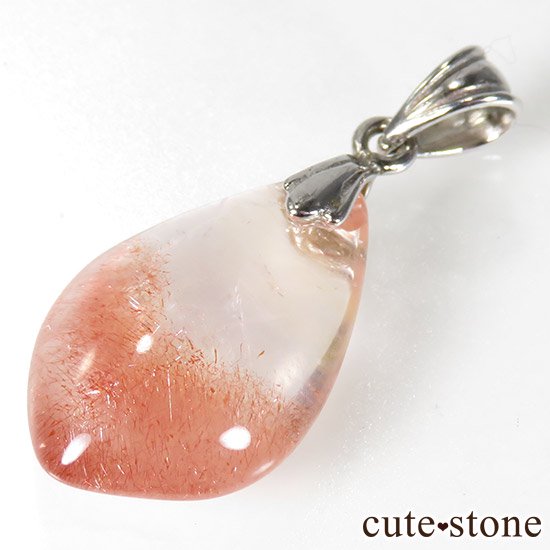 ե󻺥ȥ٥꡼ĤΥڥȥȥå Eμ̿2 cute stone