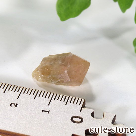 ե ȥ٥꡼(徽)η뾽 3.4gμ̿2 cute stone