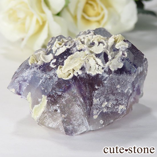   䥪󥷥 ե饤() 75gμ̿1 cute stone