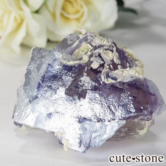   䥪󥷥 ե饤() 75gμ̿2 cute stone