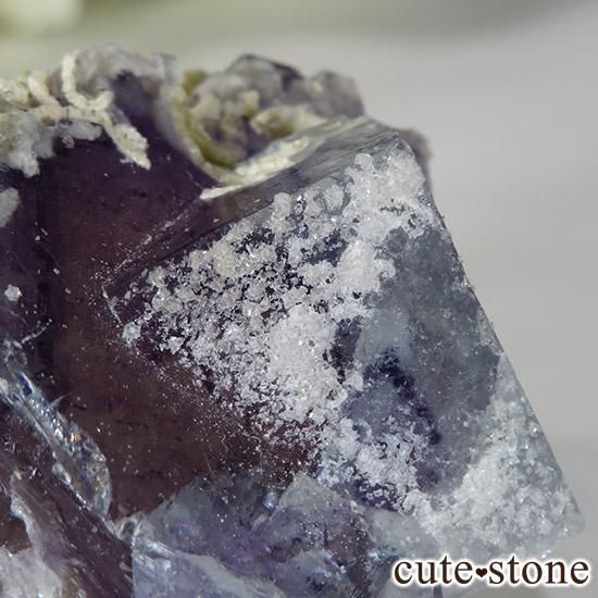   䥪󥷥 ե饤() 75gμ̿5 cute stone