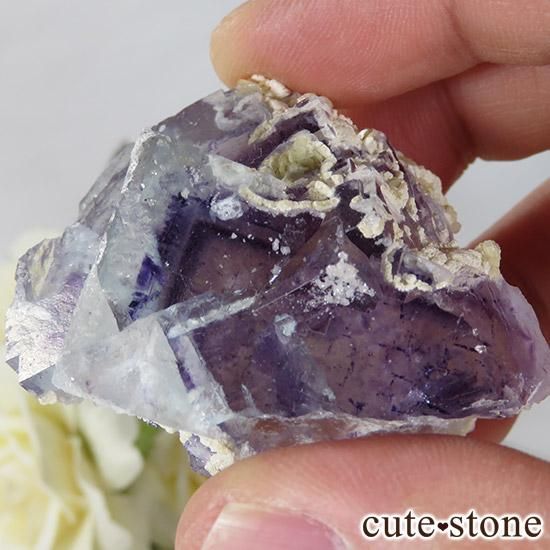   䥪󥷥 ե饤() 75gμ̿8 cute stone