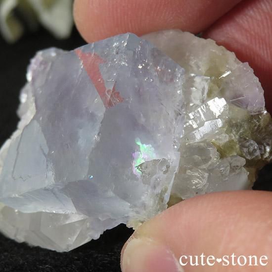   䥪󥷥 ե饤() 26gμ̿3 cute stone