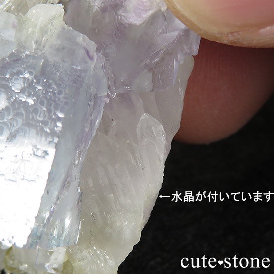   䥪󥷥 ե饤() 26gμ̿4 cute stone