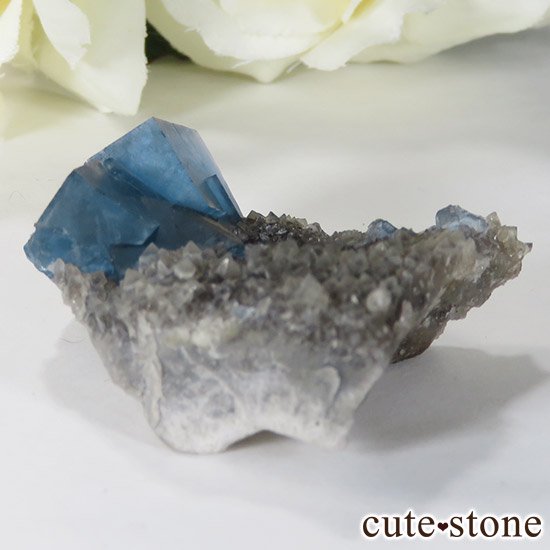 ʡʻǥץ֥롼ե饤Ȥθ 19.2gμ̿0 cute stone