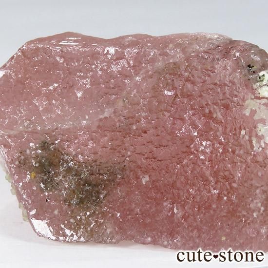 ԥ󥯥ե饤(󥴥뻺)θ μ̿3 cute stone