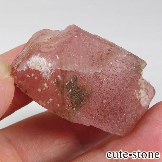 ԥ󥯥ե饤(󥴥뻺)θ μ̿5 cute stone