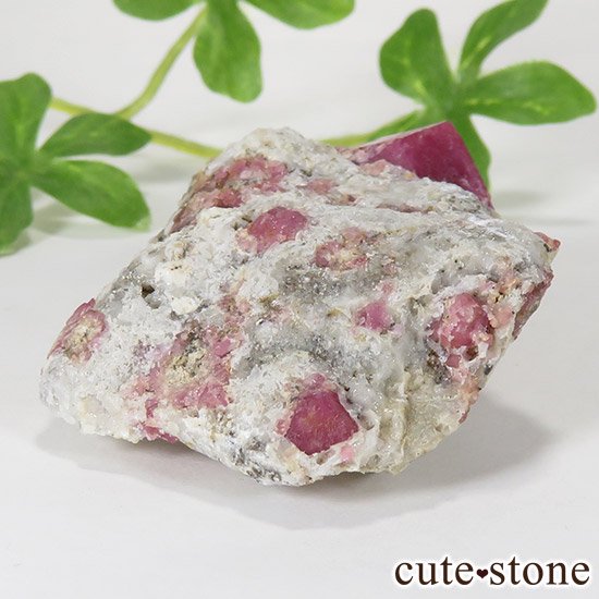 饺٥꡼ͥåȡʳСˤθСʹʪɸܡˤμ̿0 cute stone