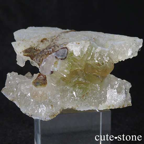 Υե饤Ȥθ ɻ 60gʹʪɸܡˤμ̿1 cute stone