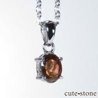 ŷ¼쥤ܡͥåȤΥڥȥȥå No.2β