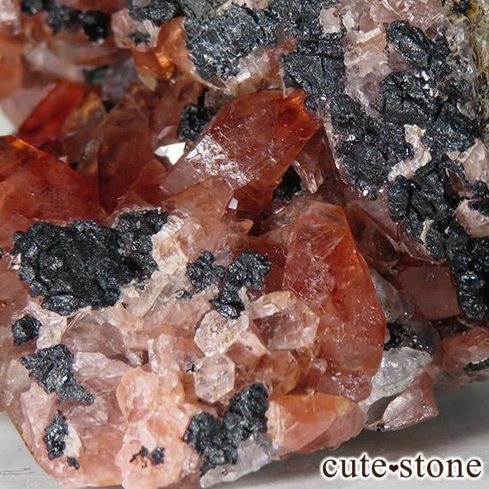 ڥ롼 ɥȡʥ󥫥ˤθ 123gμ̿1 cute stone