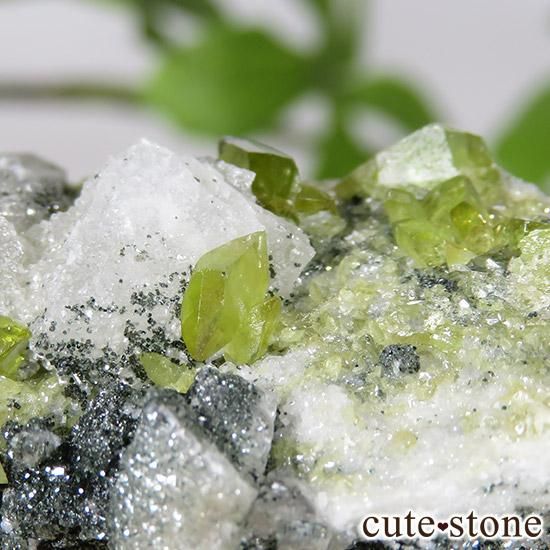 եդ 23gμ̿3 cute stone