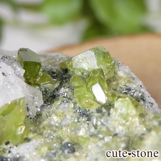 եդ 23gμ̿5 cute stone