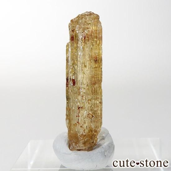 ڥꥢȥѡñη뾽  6.5ct