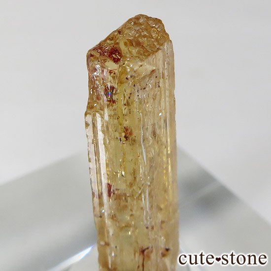 ڥꥢȥѡñη뾽  6.5ctμ̿3 cute stone