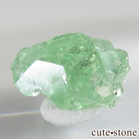 󥶥˥ ĥܥ饤Ȥη뾽ʸС 2ctμ̿2 cute stone