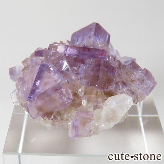 ᥭ ѡץե饤ȤɸܡʸСˤμ̿1 cute stone