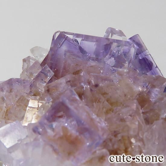 ᥭ ѡץե饤ȤɸܡʸСˤμ̿3 cute stone