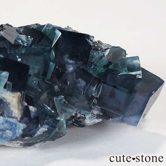  ʻ ֥롼ե饤ȤɸܡʸСˤμ̿0 cute stone