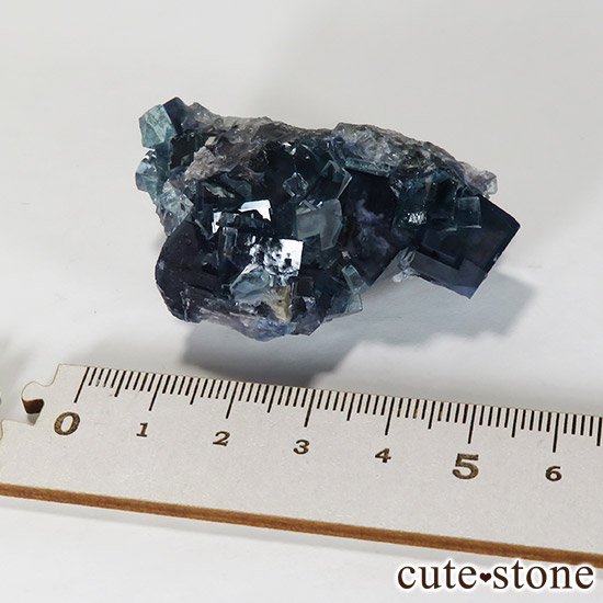  ʻ ֥롼ե饤ȤɸܡʸСˤμ̿7 cute stone