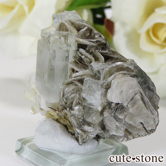 ѥ󻺥ޥ դ뾽ʸС19gμ̿0 cute stone