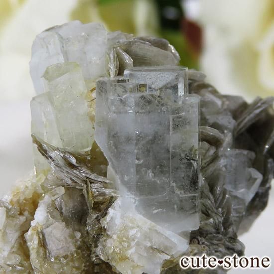 ѥ󻺥ޥ դ뾽ʸС19gμ̿2 cute stone