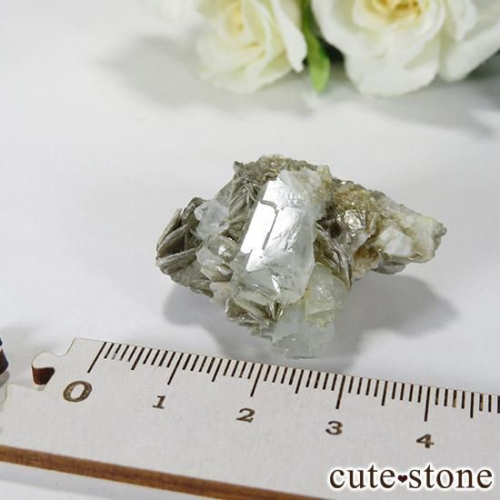 ѥ󻺥ޥ դ뾽ʸС19gμ̿3 cute stone