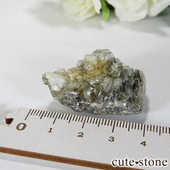 ѥ󻺥ޥ դ뾽ʸС19gμ̿4 cute stone