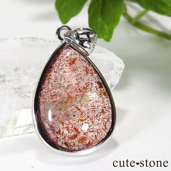 ե(ԥɥȥ󥯥)Υڥȥȥåפμ̿0 cute stone