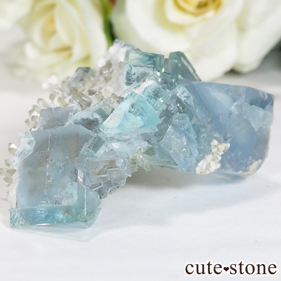  ʡʻ֥롼꡼ե饤Ȥθ 29gμ̿0 cute stone