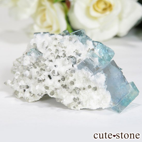  ʡʻ֥롼꡼ե饤Ȥθ 29gμ̿1 cute stone