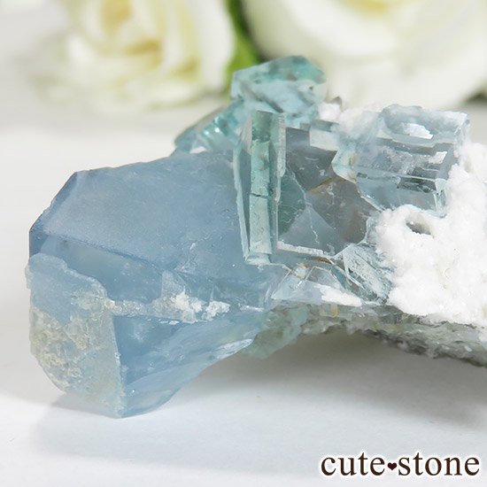  ʡʻ֥롼꡼ե饤Ȥθ 29gμ̿2 cute stone