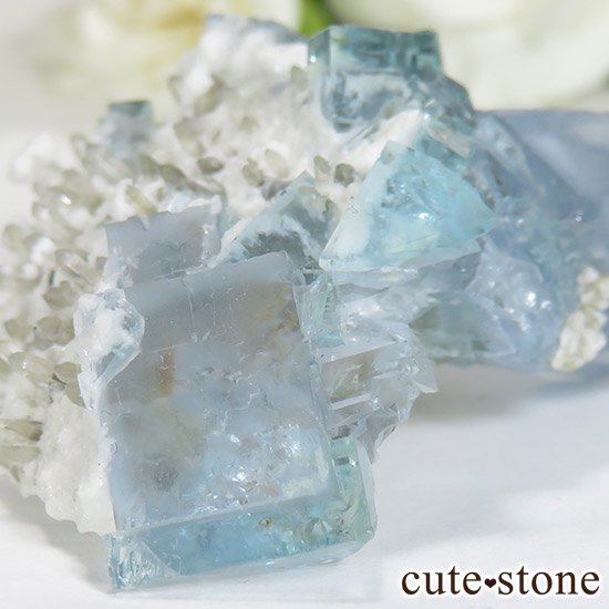  ʡʻ֥롼꡼ե饤Ȥθ 29gμ̿3 cute stone