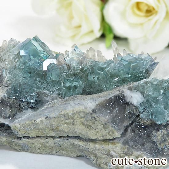  ʡʻ֥롼꡼ե饤Ȥθ 143gμ̿0 cute stone