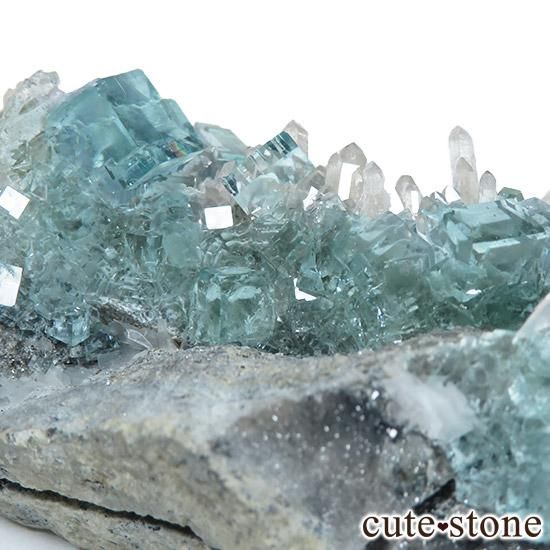  ʡʻ֥롼꡼ե饤Ȥθ 143gμ̿1 cute stone