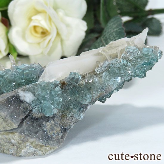  ʡʻ֥롼꡼ե饤Ȥθ 143gμ̿2 cute stone